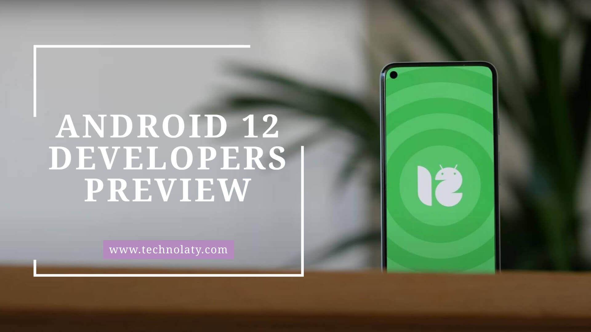 Android 12 Developers Preview Image